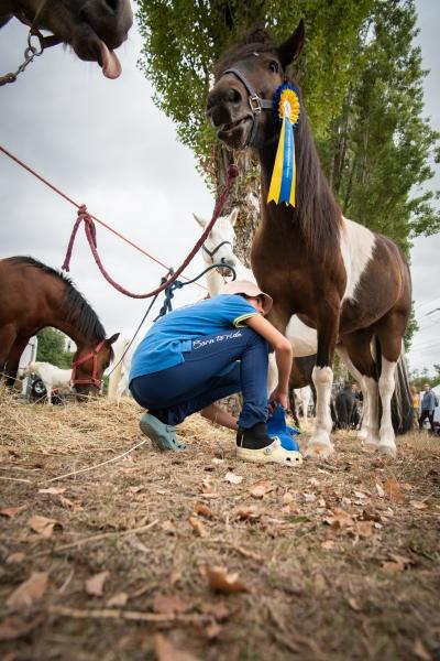 2022.08.28_ChampionnatSuisse_PonyGames_4emeManche_2_Shet1_ShetElite_74__8109072_