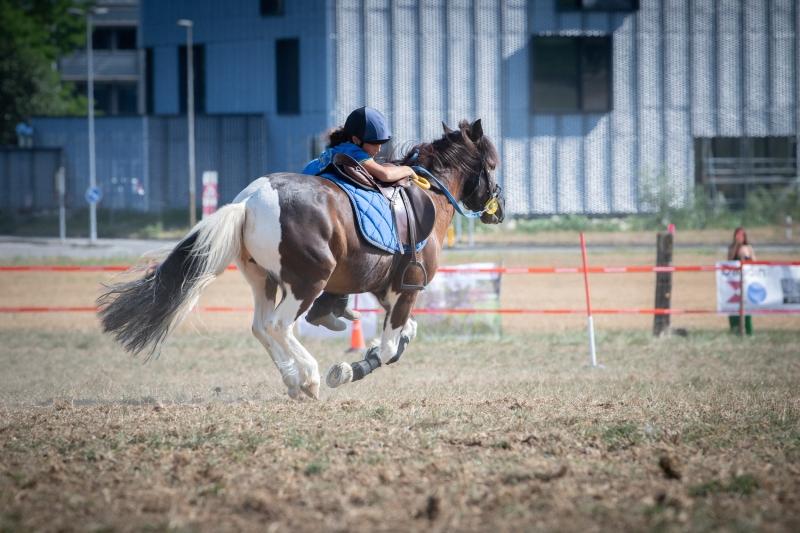 2022.08.28_ChampionnatSuisse_PonyGames_4emeManche_5_OpenEliteB_31_ND5_0135_