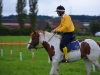 pginwil_04