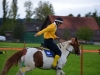 pginwil_06