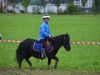 pginwil_26