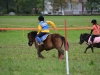 pginwil_46