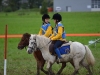 pginwil_87