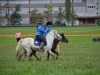 pginwil_92